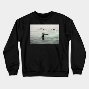 Whale Tail Crewneck Sweatshirt